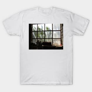 Aleko's Window T-Shirt